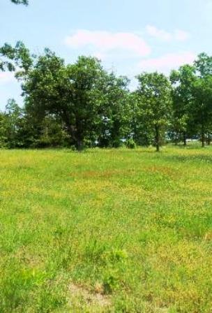 Ozark Acres.1